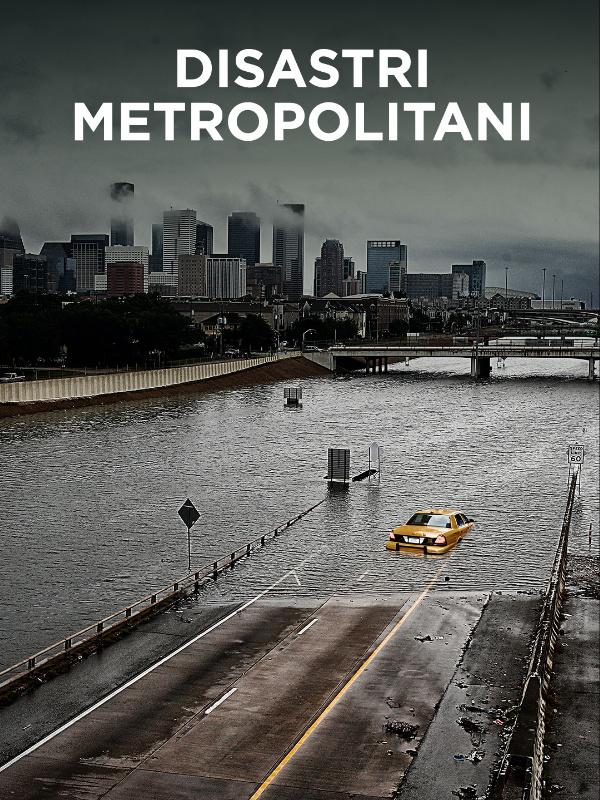 Disastri metropolitani