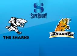 Rugby: sharks - jaguares   (diretta)