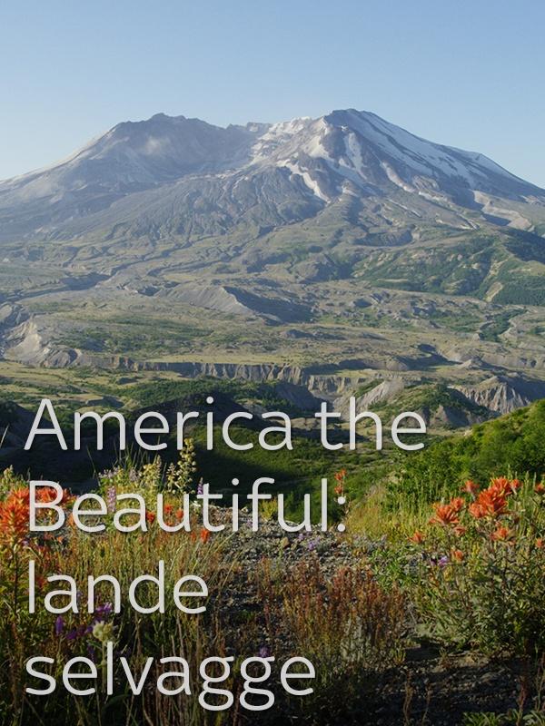 America the beautiful: lande... -  - 