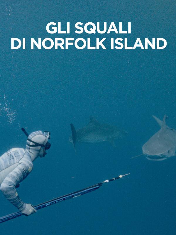 Gli squali di norfolk island