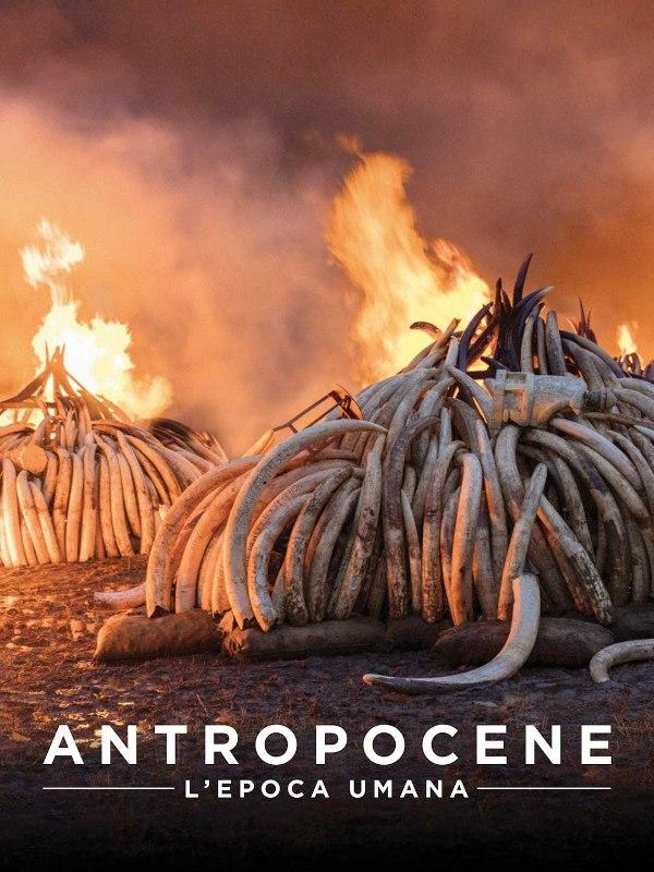 Antropocene - l'epoca umana
