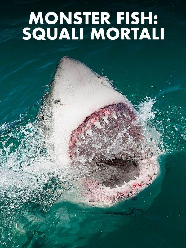 Monster fish: squali mortali