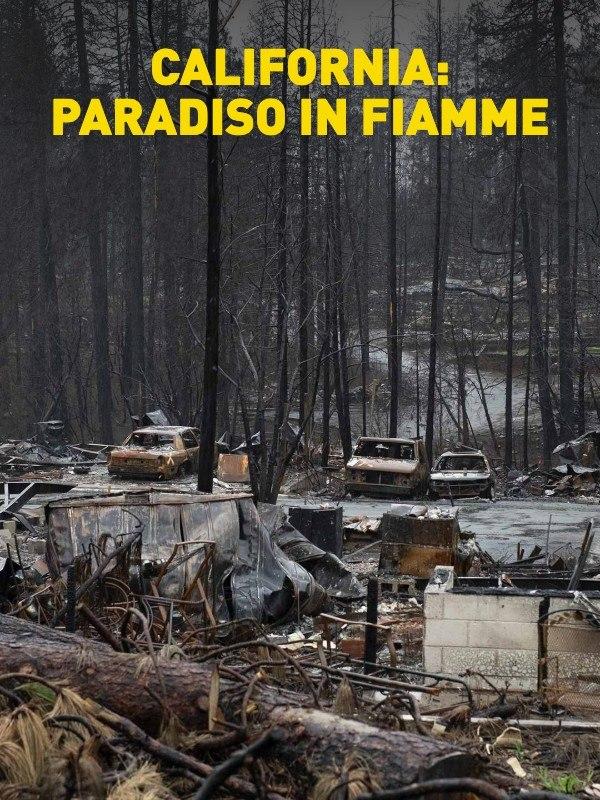 California: paradiso in fiamme