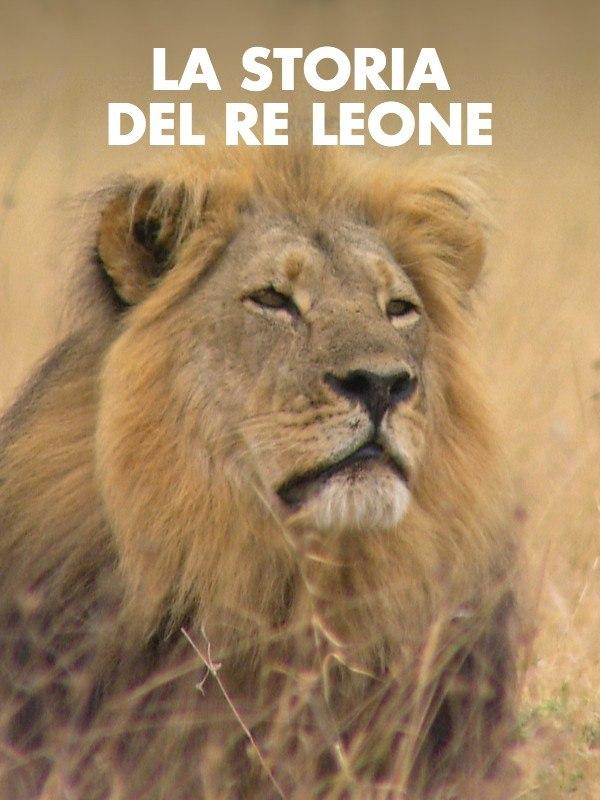 La storia del re leone