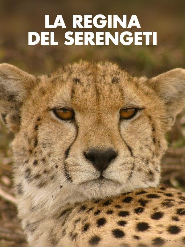 La regina del serengeti - 1^tv