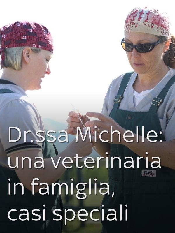 Dr.ssa michelle: una veterinaria in famiglia, casi speciali