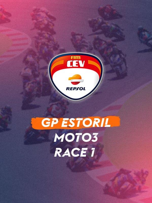 Gp estoril: moto3. race 1