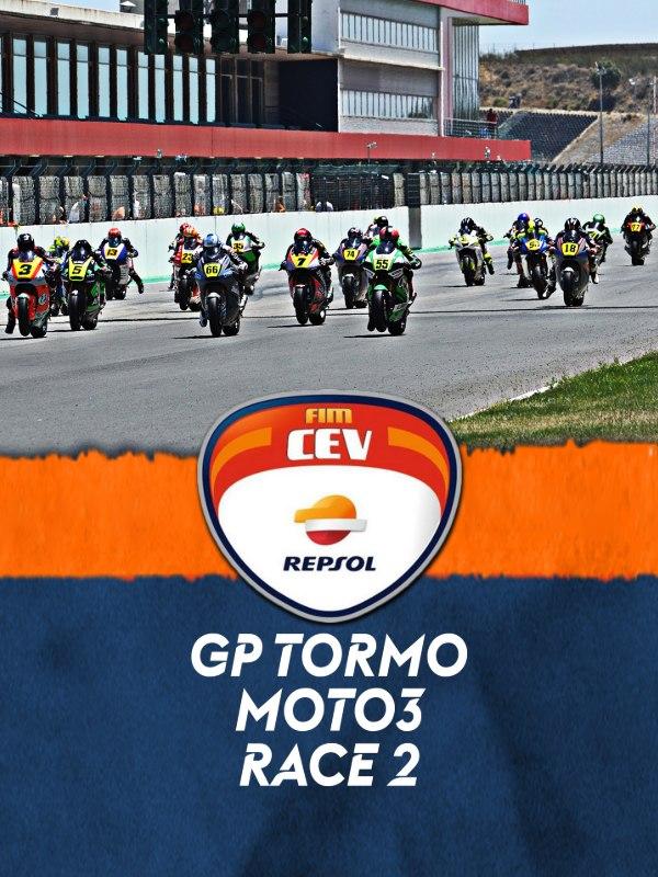 Gp tormo: moto3. race 2