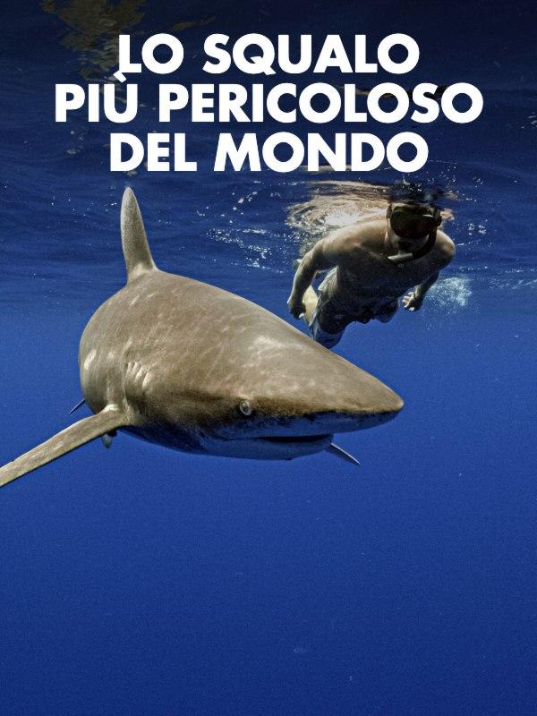 Lo squalo piu' pericoloso del mondo