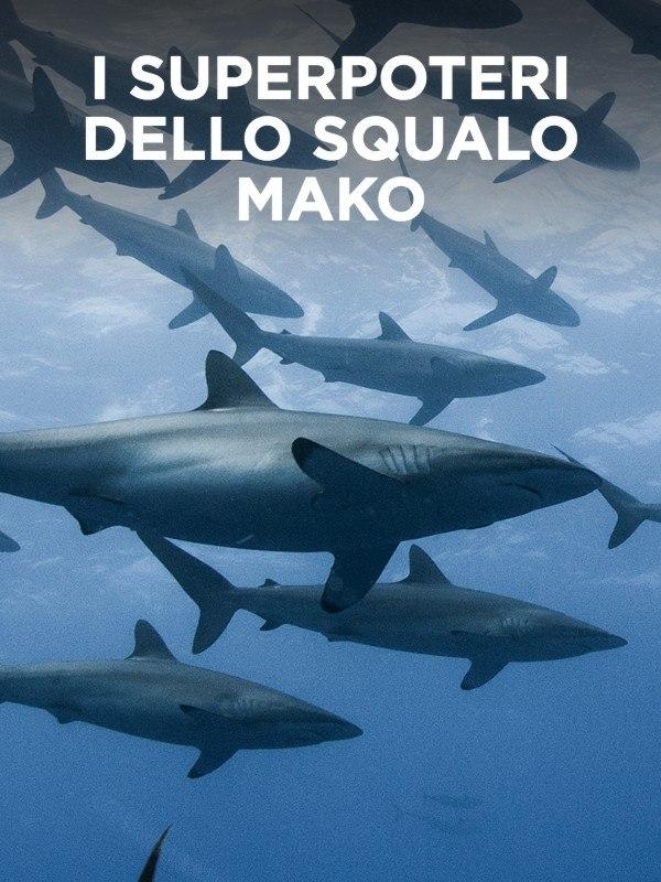I superpoteri dello squalo mako