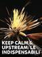 Keep Calm & Upstream: le indispensabili