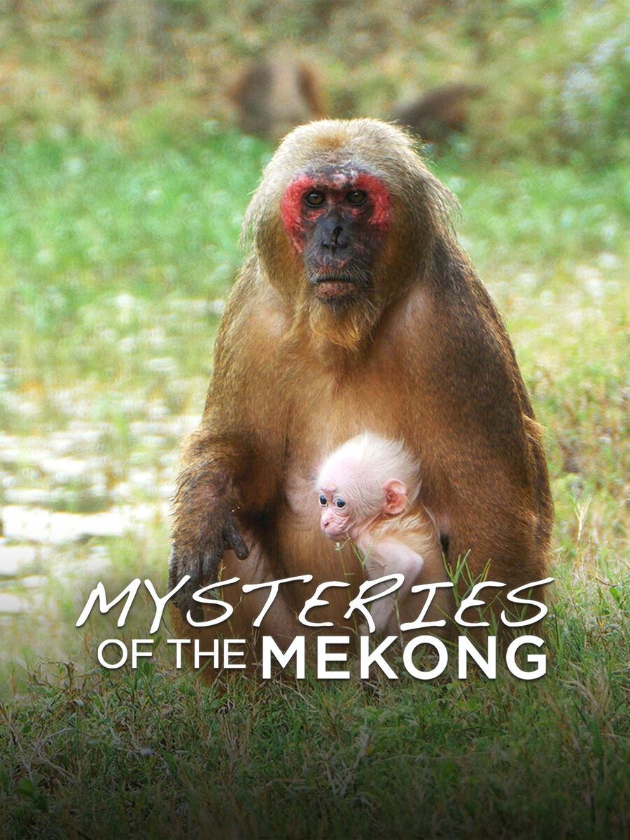 Mysteries of the mekong