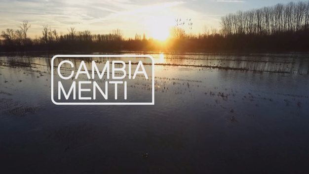 Memex cambiamenti - ep. 04 - curare