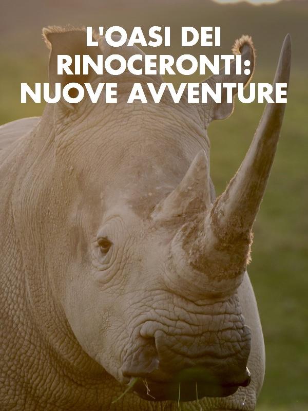 L'oasi dei rinoceronti: nuove avventure