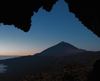 Wild canary islands