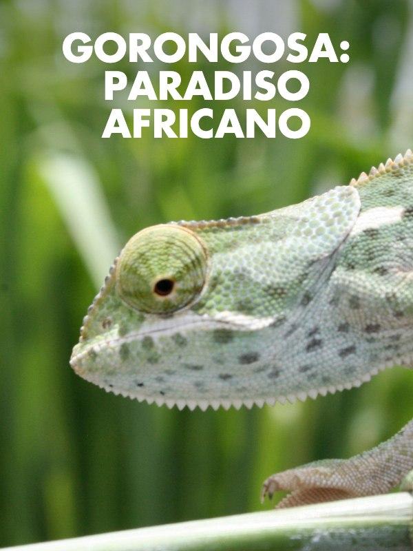 Gorongosa: paradiso africano