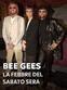 Bee Gees - La febbre del sabato sera