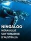 Ningaloo - Meraviglie sottomarine...