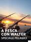 A pesca con Walter - Speciale Pelagici 1