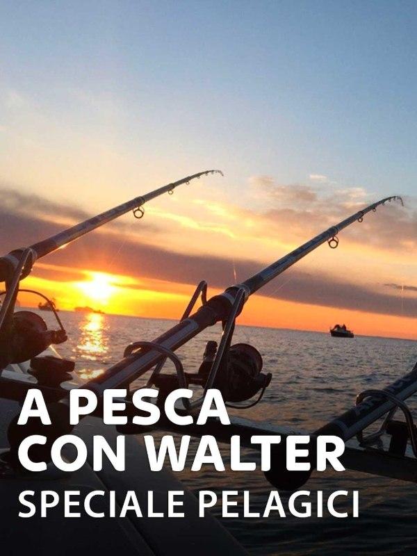 A pesca con walter - speciale pelagici 1
