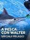 A pesca con Walter - Speciale Pelagici 3