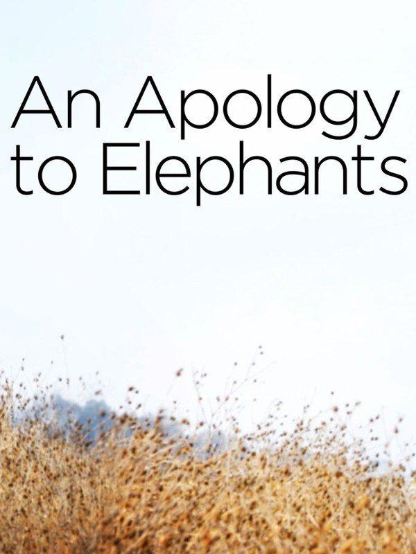 Elefanti: una specie da salvare