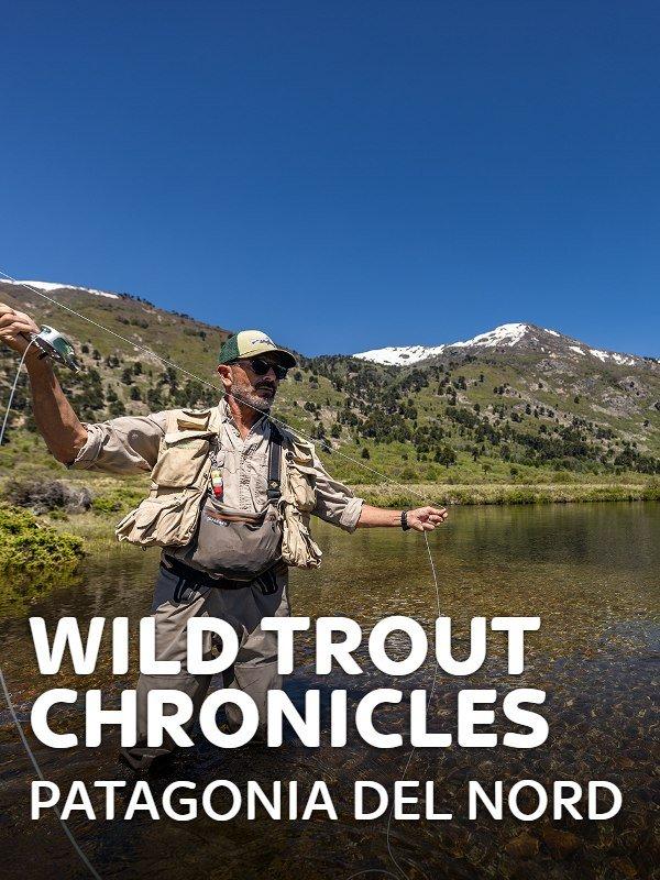 Wild trout chronicles: patagonia del...