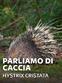 Parliamo di caccia: Hystrix Cristata