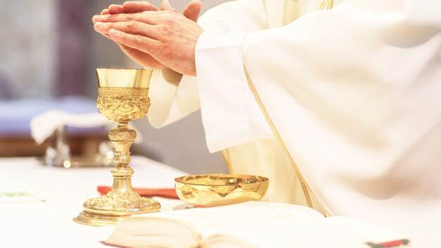 Santa messa nello stadio re baldovino presieduta da papa francesco e recita dell'angelus