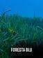 Foresta Blu