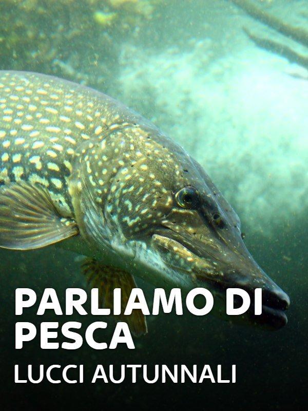 Parliamo di pesca: lucci autunnali