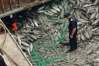 Report Biodiversit, pesca illegale ed emergenza clima 2022x00