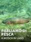 Parliamo di pesca: a mosca in lago