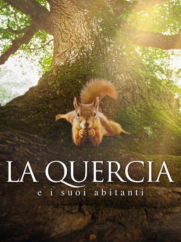 La quercia e i suoi abitanti