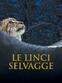 Le Linci Selvagge