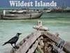 Wildest islands