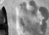 Finding bigfoot: cacciatori di mostri