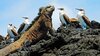 Evolution - Il viaggio di Darwin -