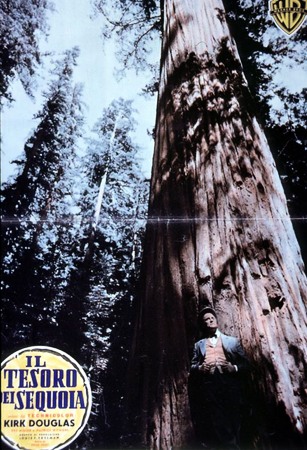 Il tesoro dei sequoia