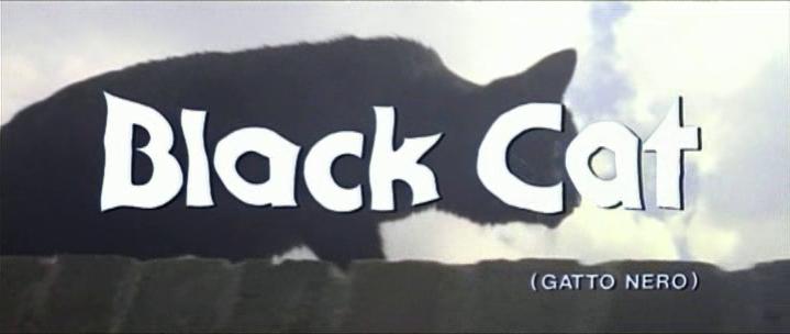 Black cat - gatto nero