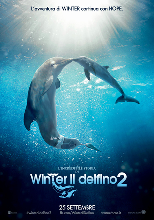 L' incredibile storia di winter il delfino 2