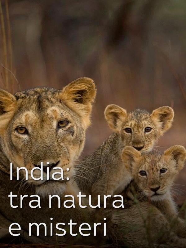 India: tra natura e misteri