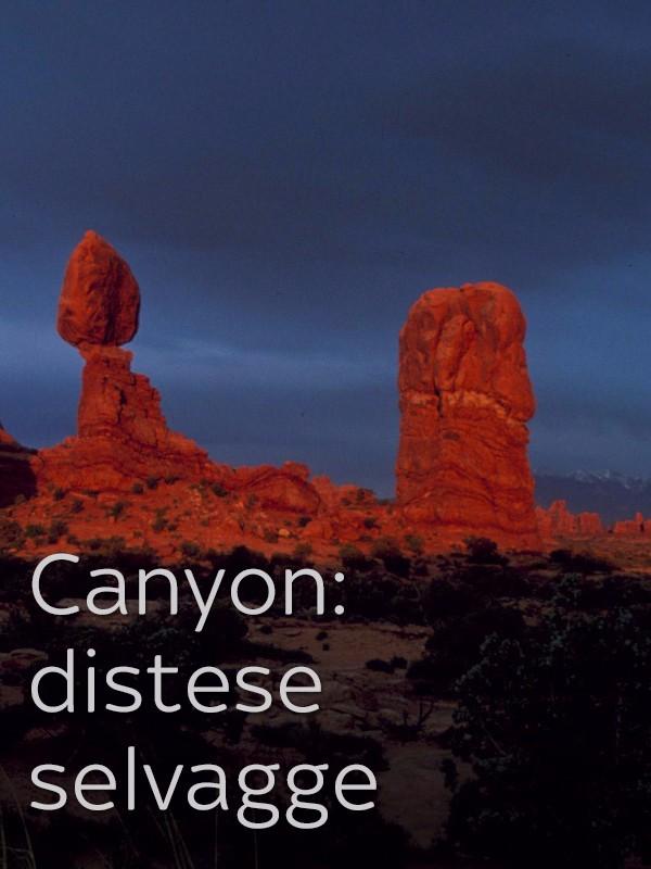Canyon: distese selvagge