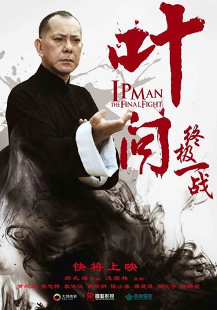 Ip man the final fight