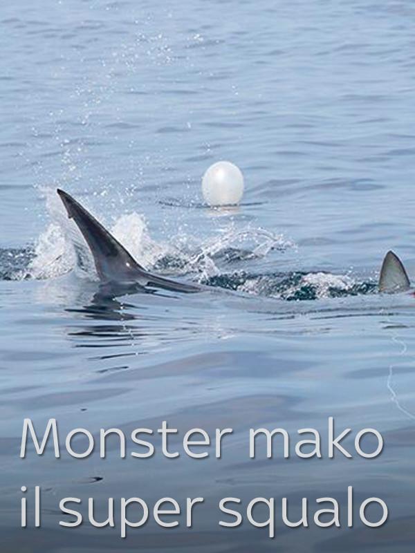 Monster mako: il super squalo