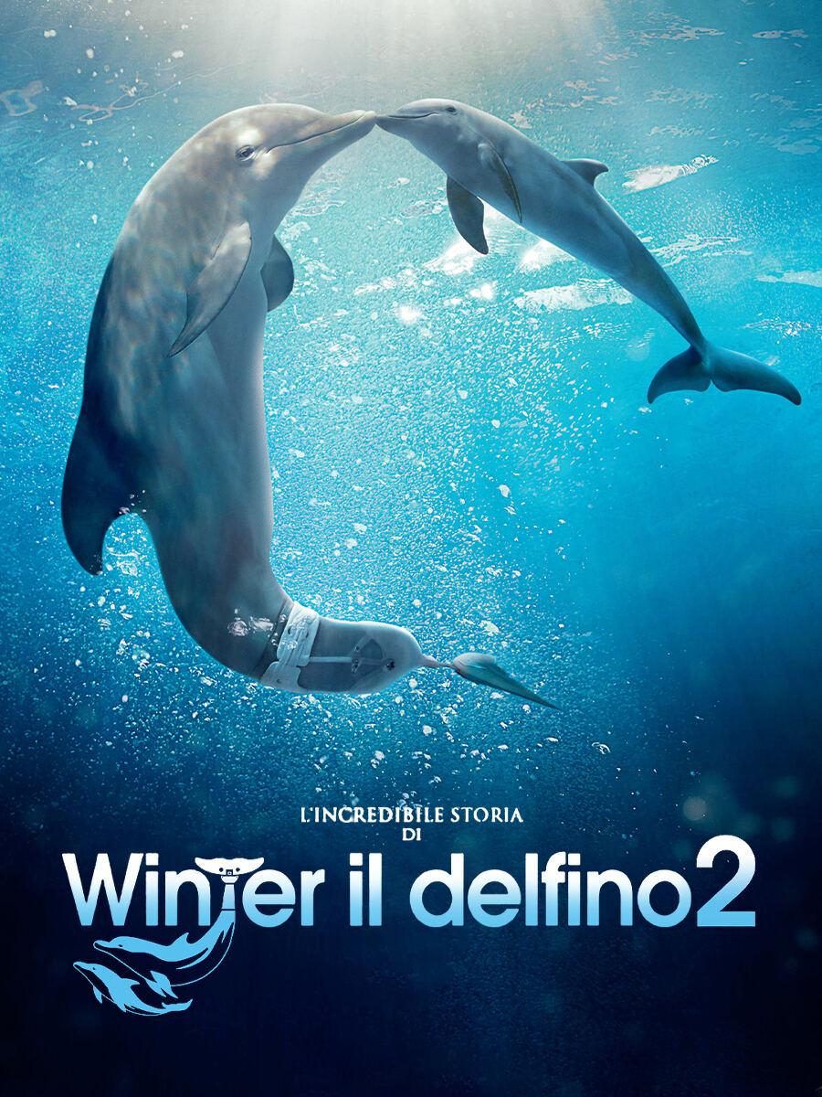 L'incredibile storia di winter il delfino 2