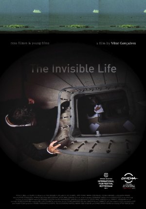 La vita invisibile