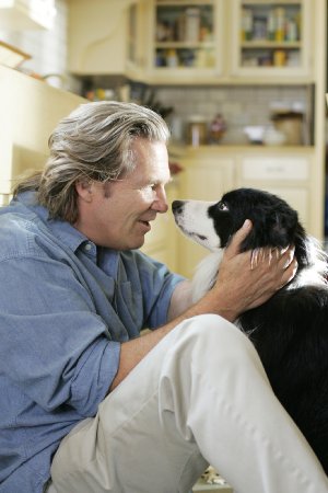 Pet therapy - un cane per amico