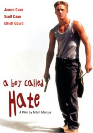 A boy called hate