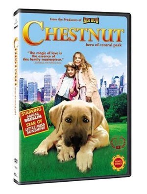 Chestnut - l'eroe di central park